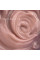 Гель желе Touch Jelly Gelly 3, 15 мл