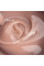 Touch Builder Gel Sand,30 мл (NEW)